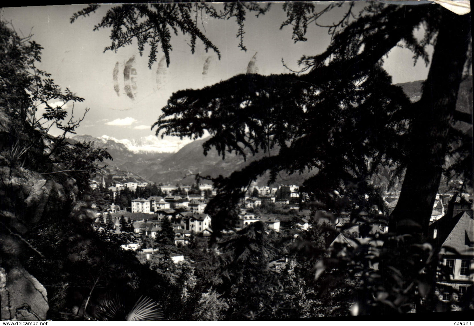 CPM Bolzano Panorama