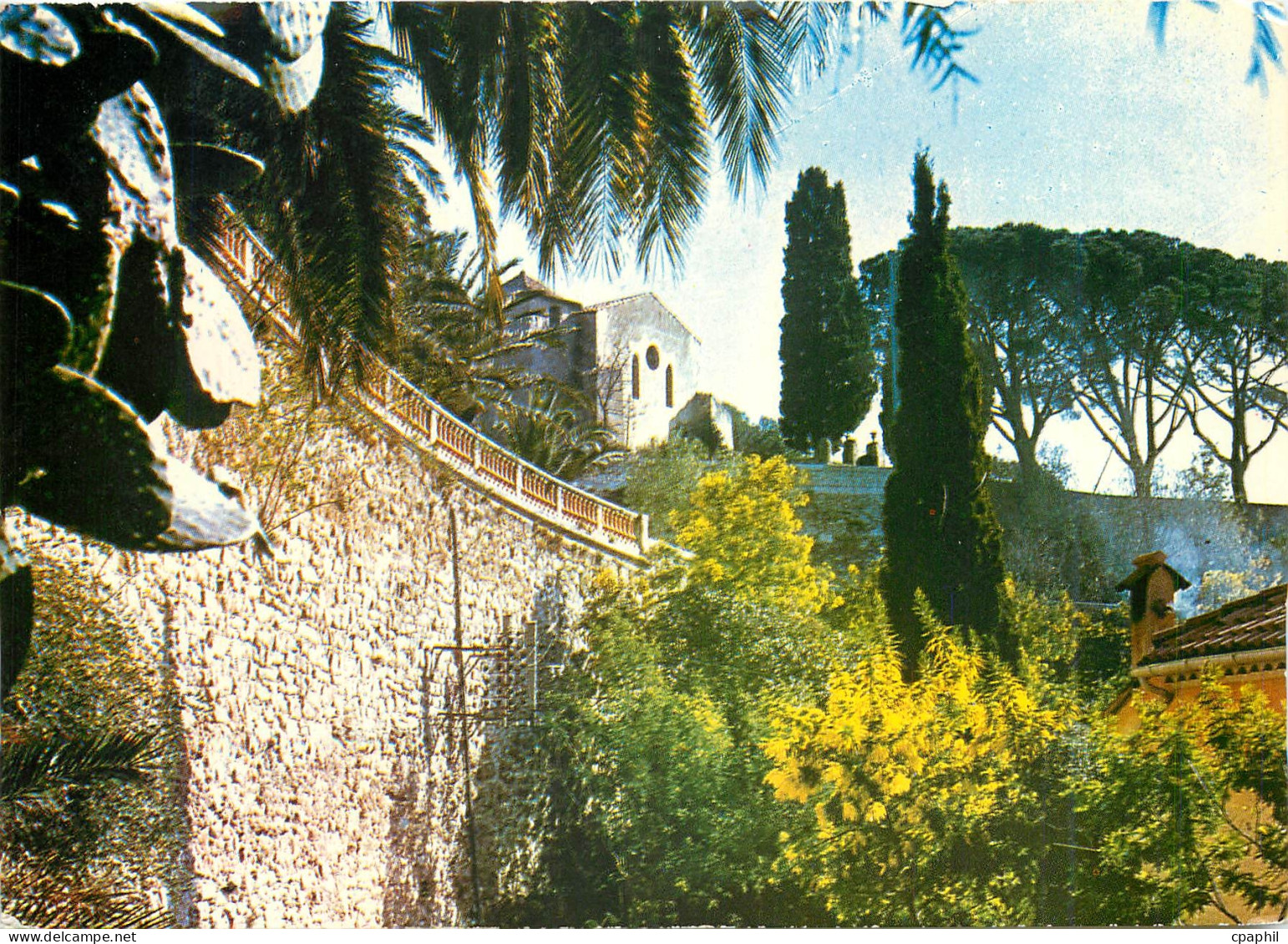 CPM Bormes les Mimosas La Chapelle St Francois