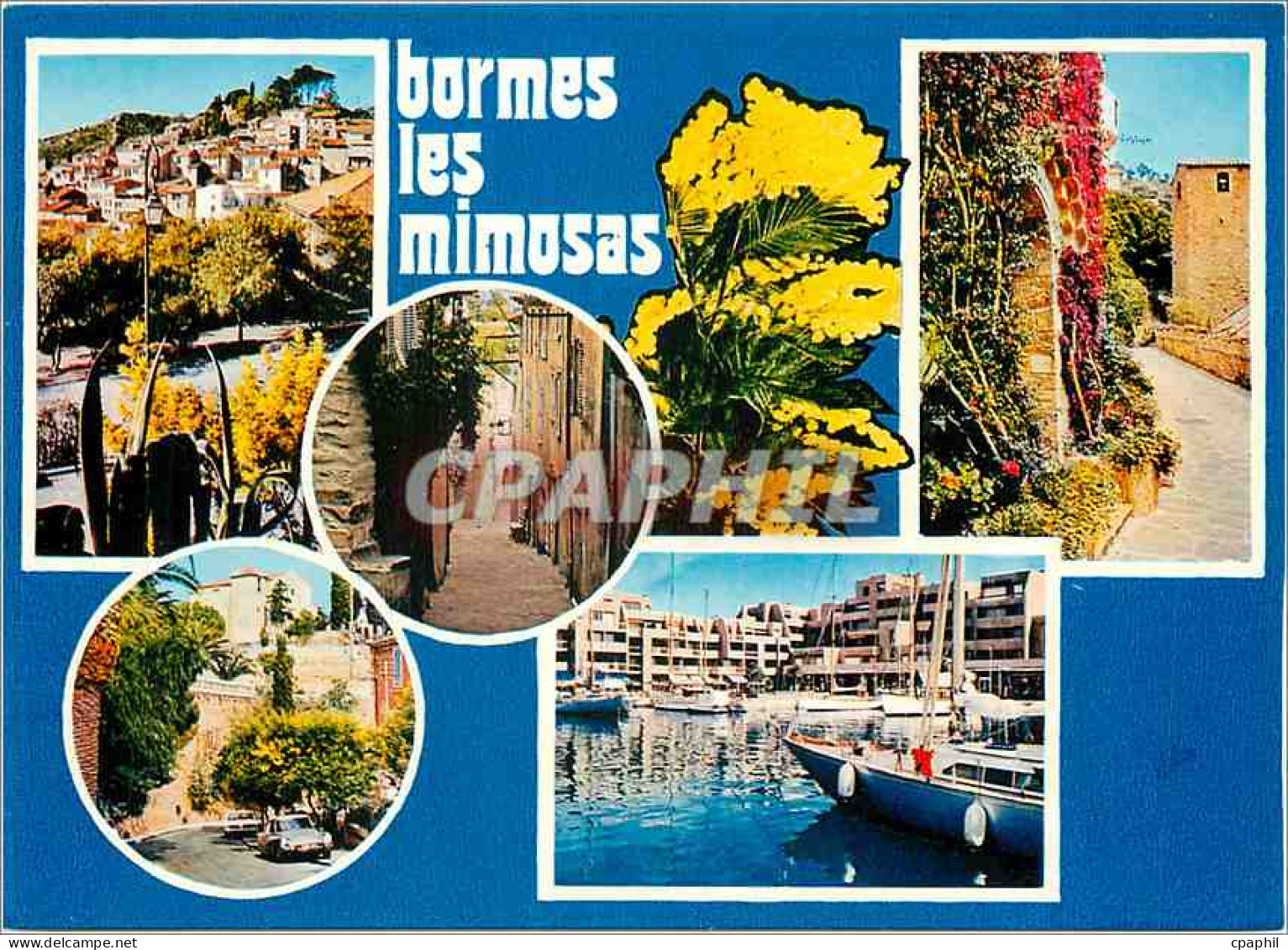 CPM Bormes les Mimosas Var