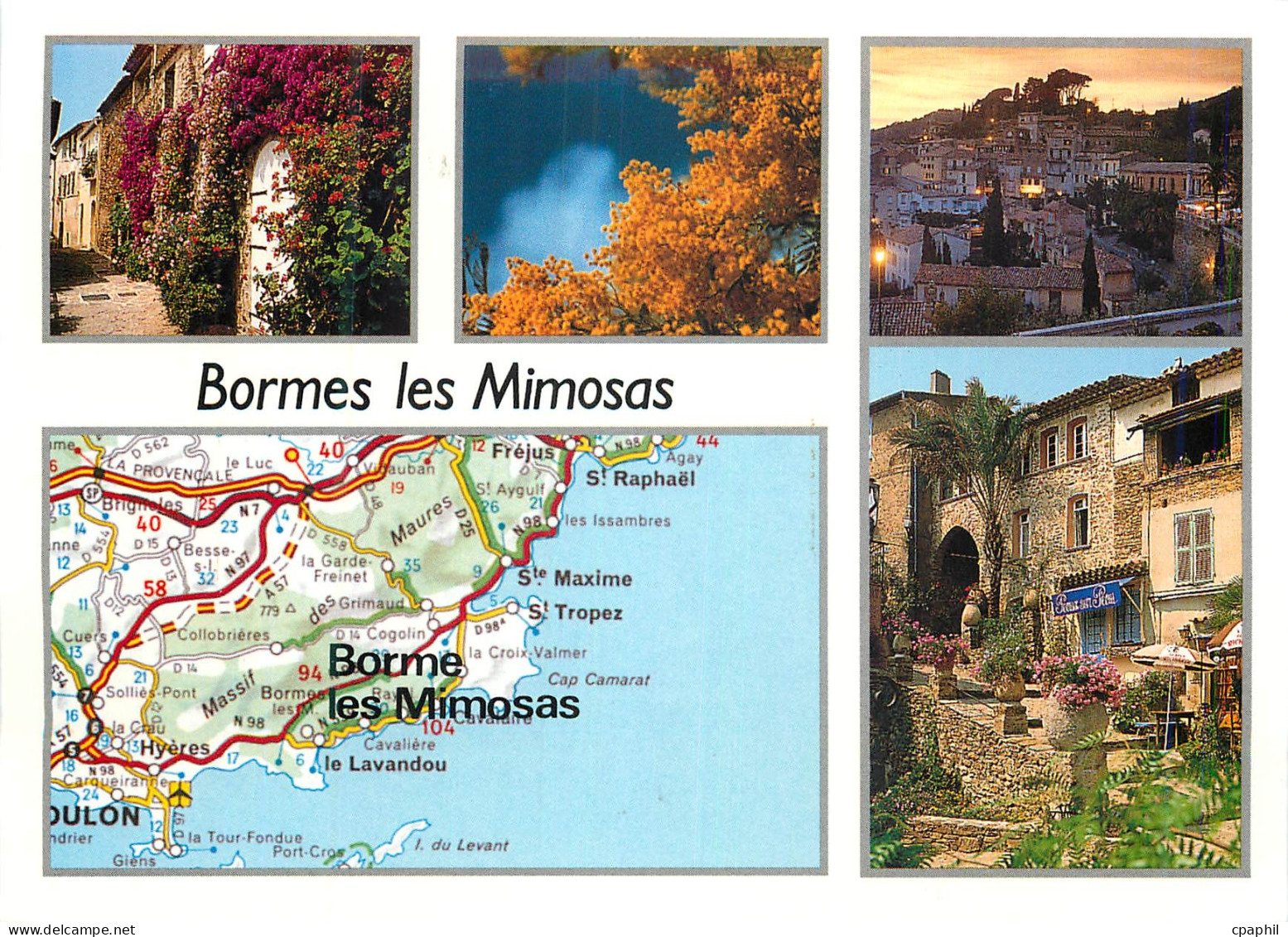CPM Bormes les Mimosas (Var)