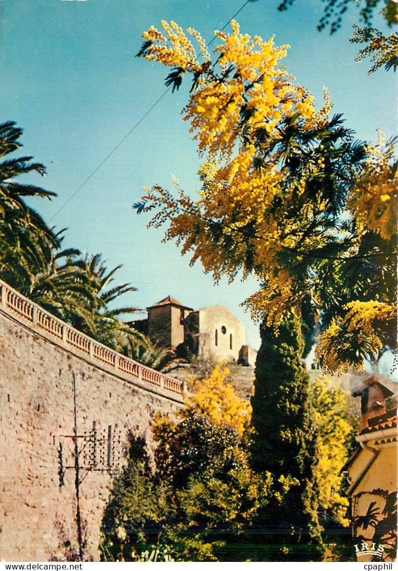 CPM Bormes les Mimosas Var La Chapelle