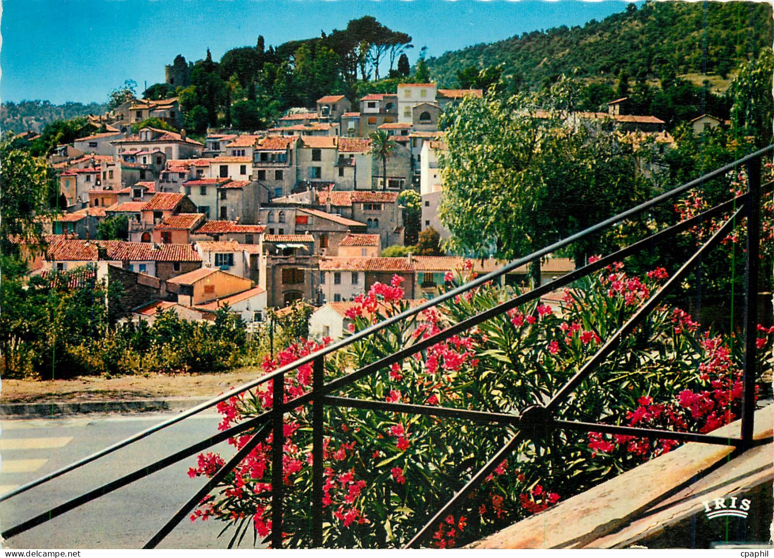 CPM Bormes les Mimosas Var Vue d'emsemble