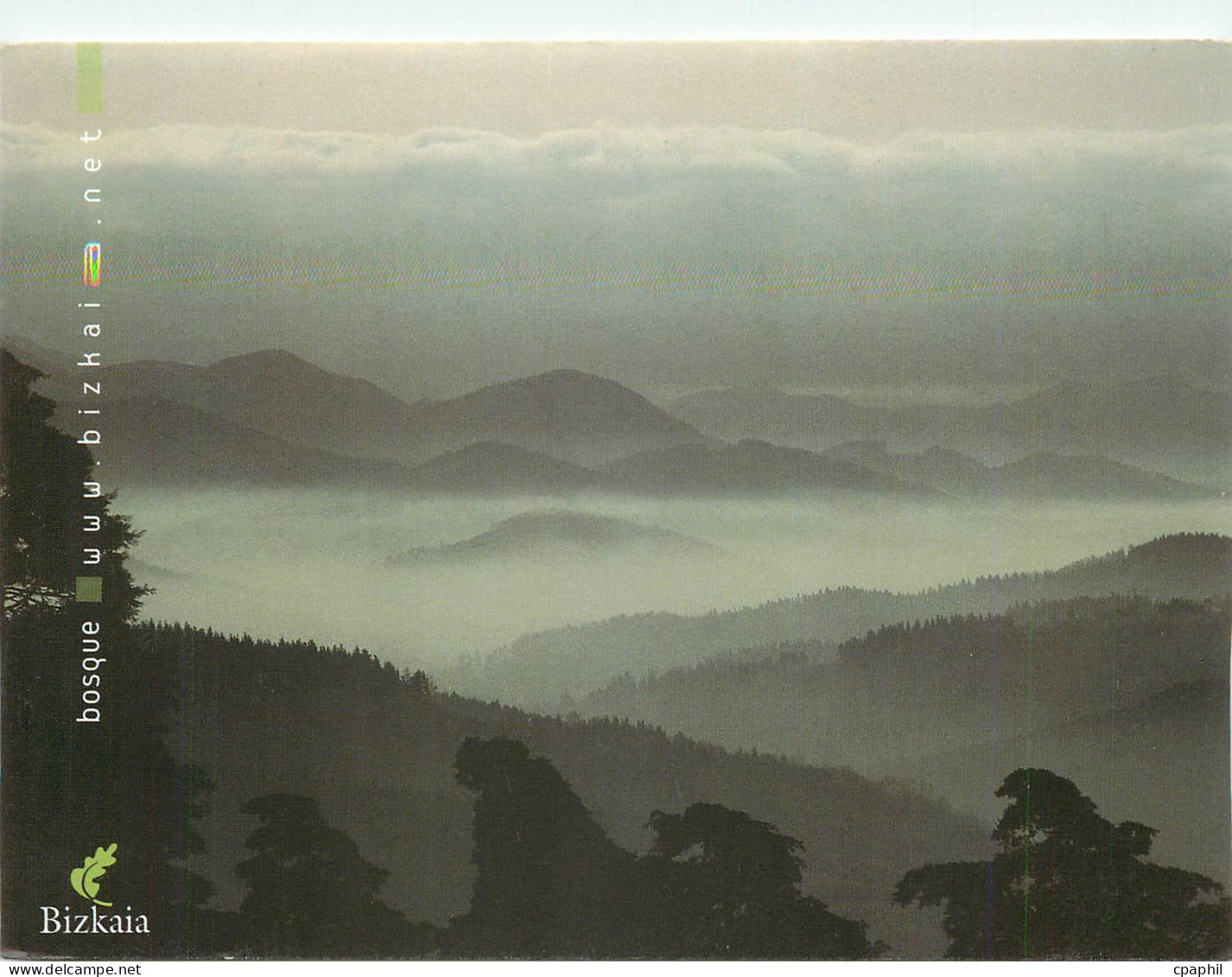CPM Bosque Bizkaia.net