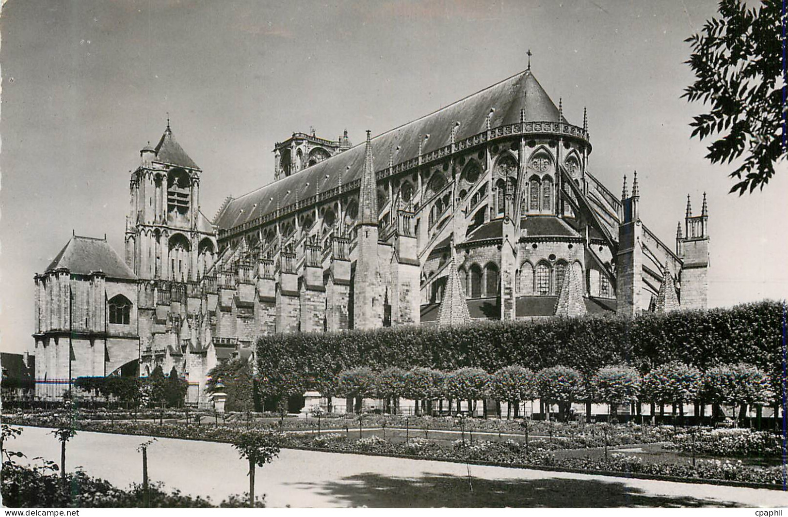 CPM Bourges La Cathedrale St Etienne de Bourges