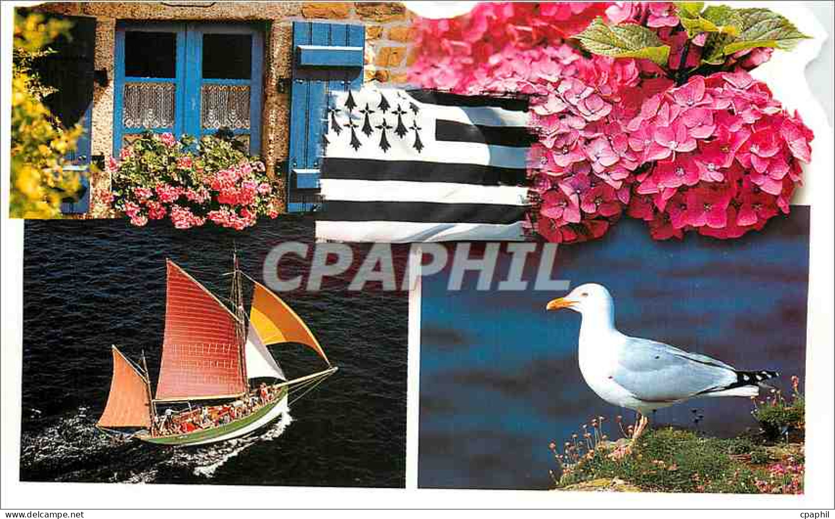 CPM Bretagne Mouette Bateau