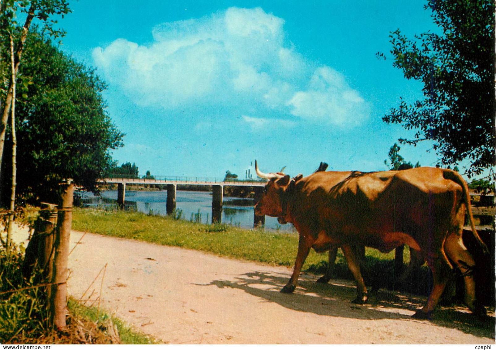 CPM Bridge across River Vouga Aveiro