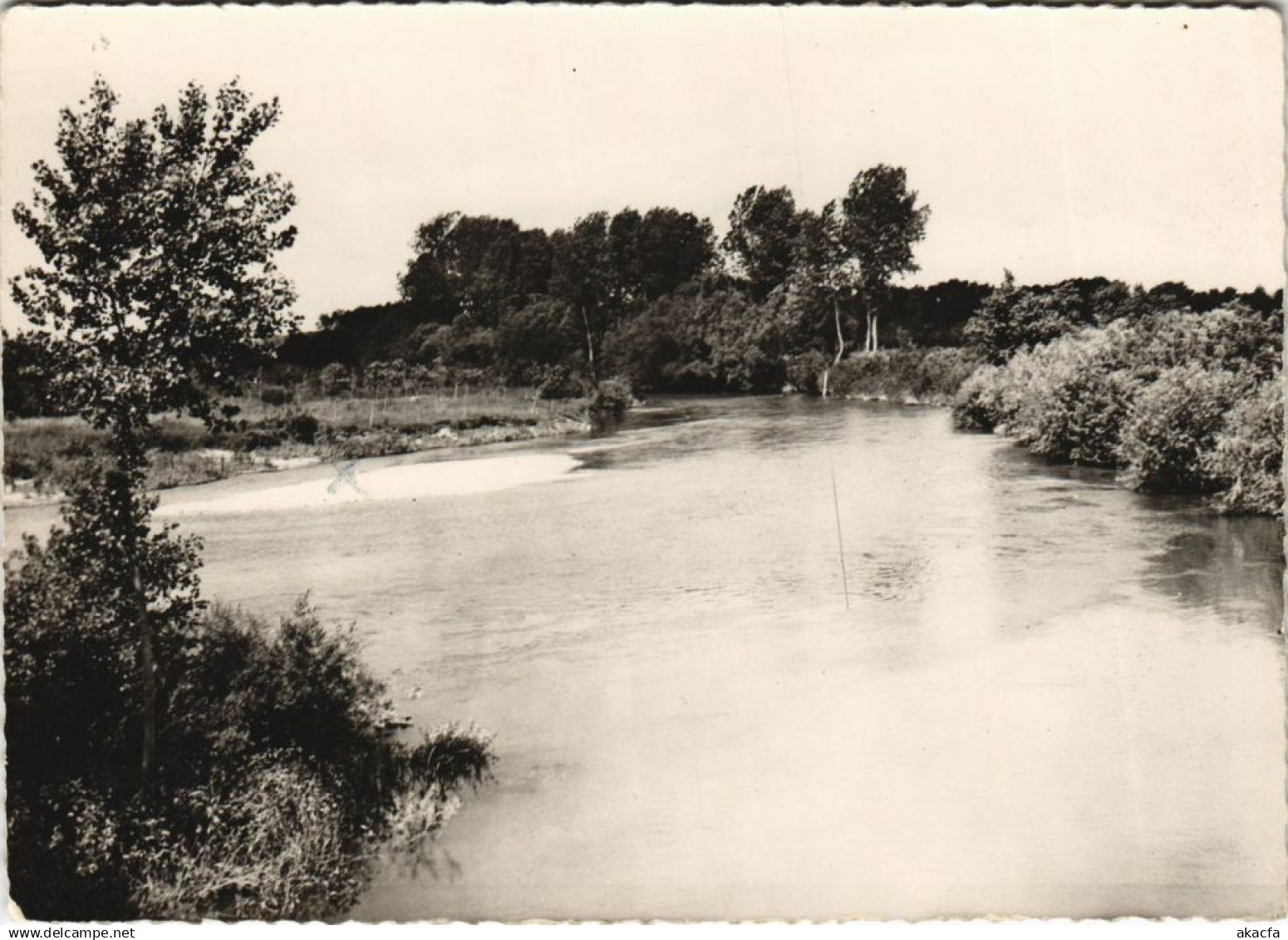 CPM BRIENON-sur-ARMANCON Les Bords de l'Armancon (1196687)