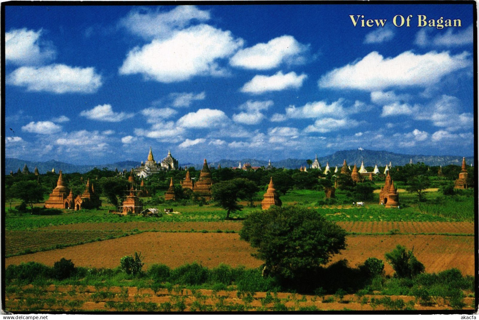 CPM Burma Bagan MYANMAR (1182847)