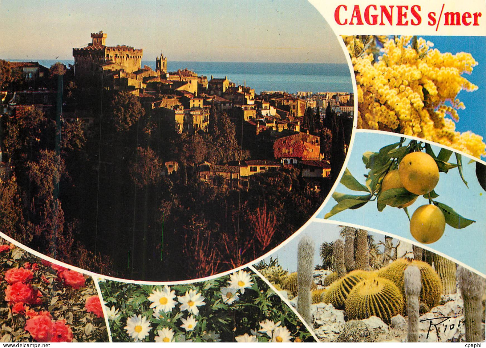 CPM Cagnes sur mer