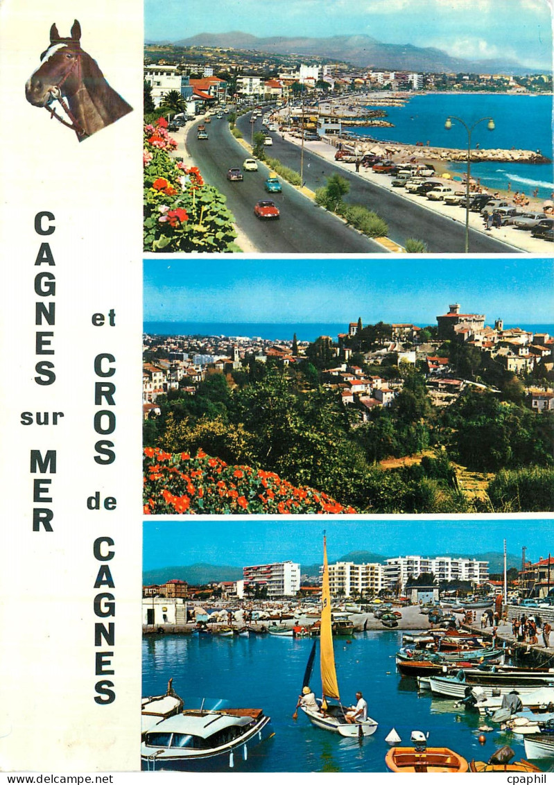 CPM Cagnes sur Mer et Cros de Cagnes Cote d'Azur Cheval