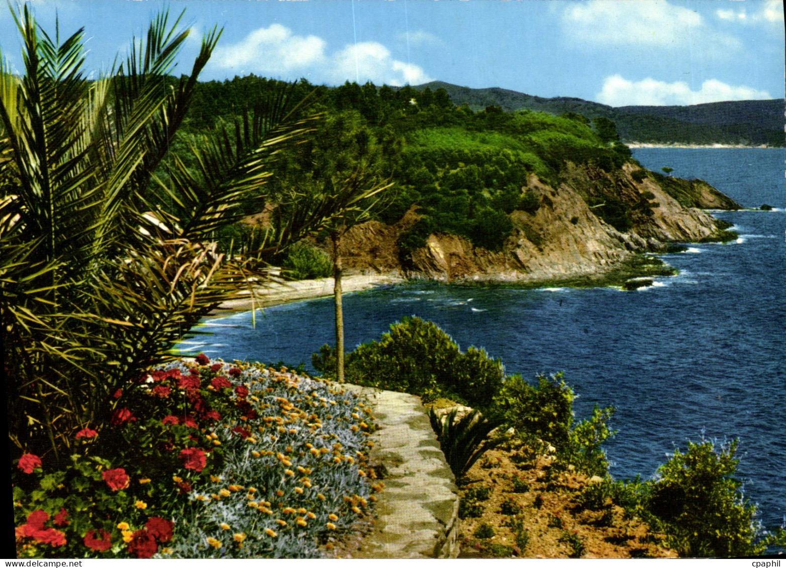 CPM Calanques et vegetations mediterraneenes