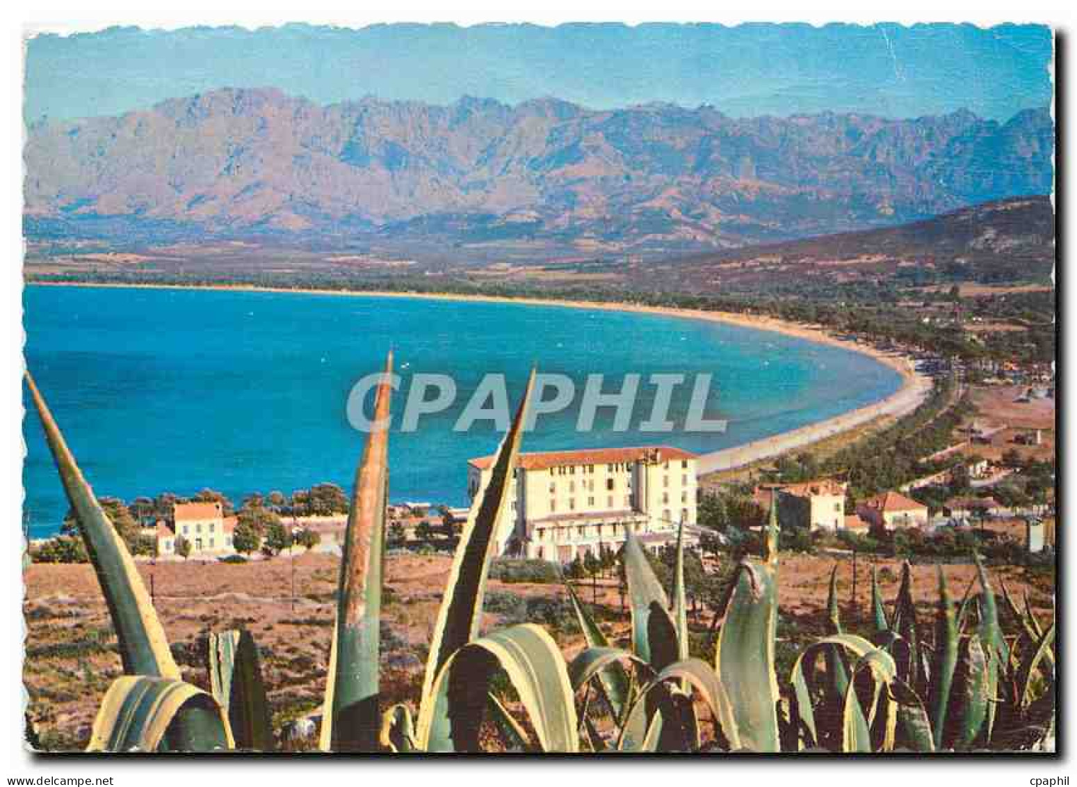 CPM Calvi La Plage et le fond du Golfe