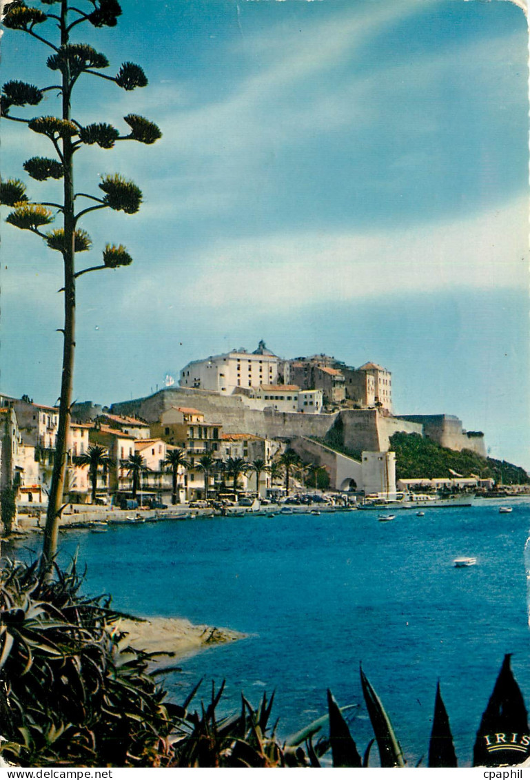 CPM Calvi Les Quais et la Citadelle