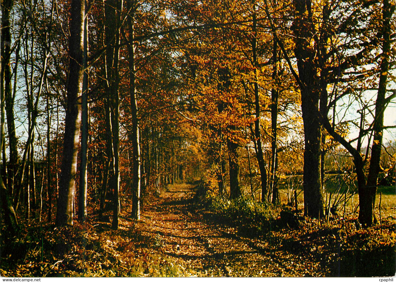 CPM Campagne Pittoresque Haute Vienne St Sulpice les Feuilles
