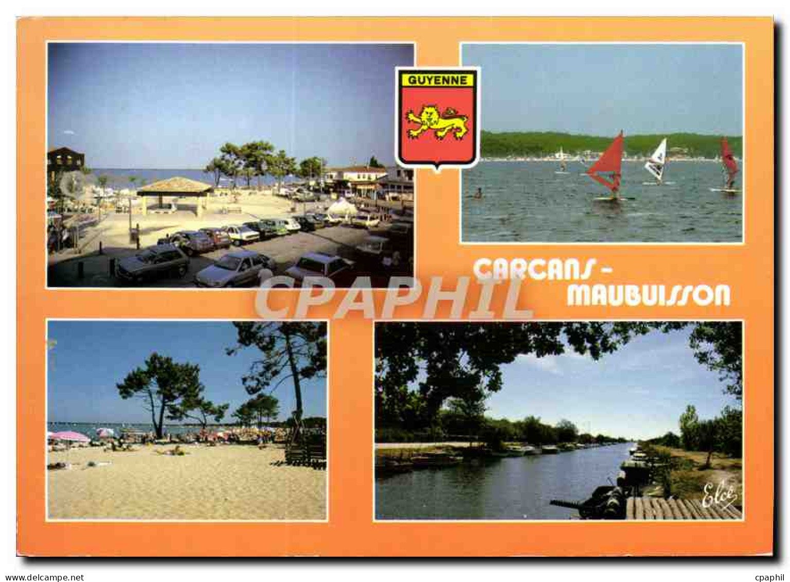 CPM Carcans Maubuisson Planche a voile Lion