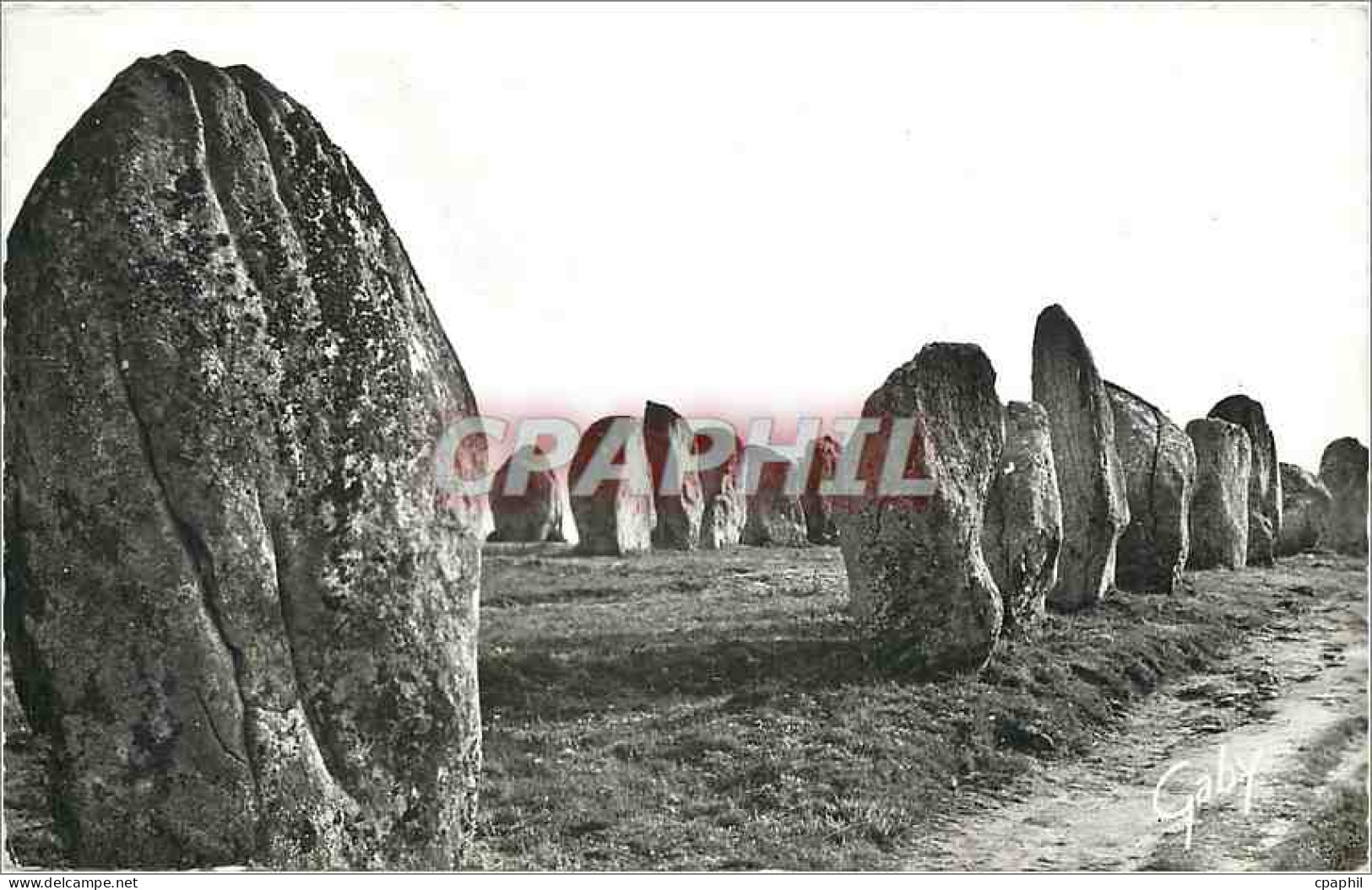 CPM Carnac Morbihan Menhirs de Kermario