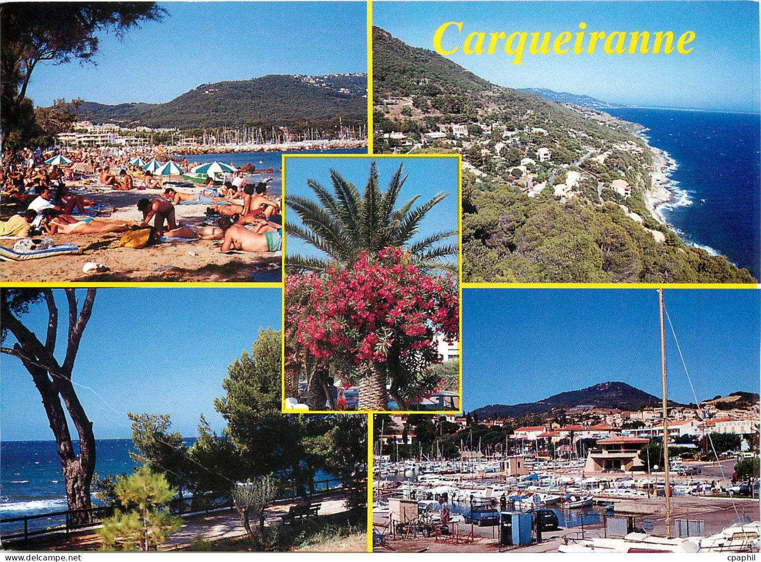 CPM Carqueiranne Lumiere et Beaute de la Cote d'Azur