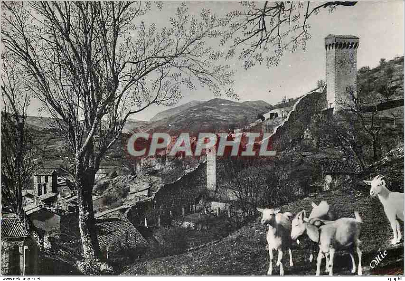 CPM Castellane Bassees Alpes sur la route Napoleon station estivale Chevres