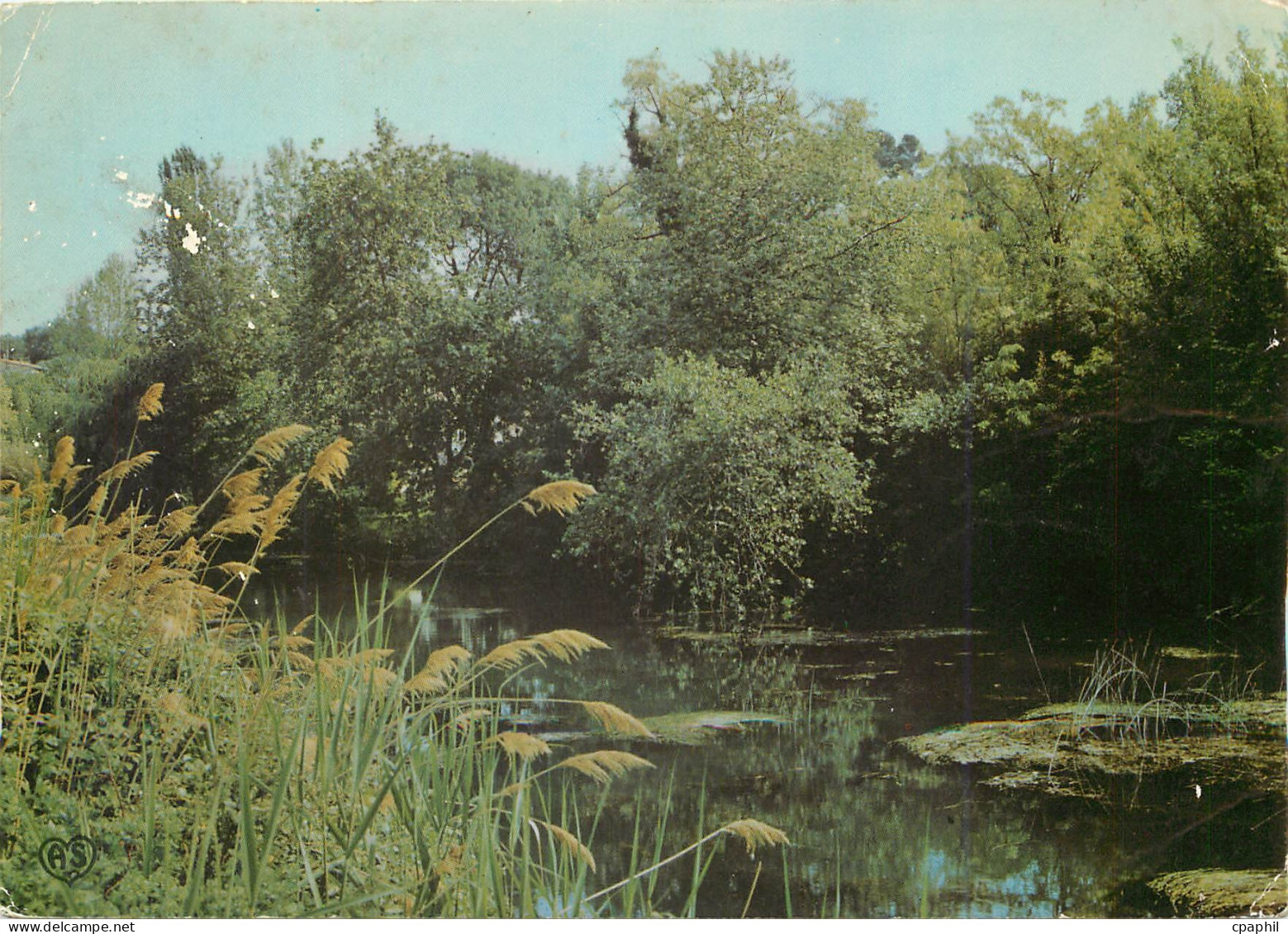 CPM Castelnau le Lez Herault Les Bords du Lez