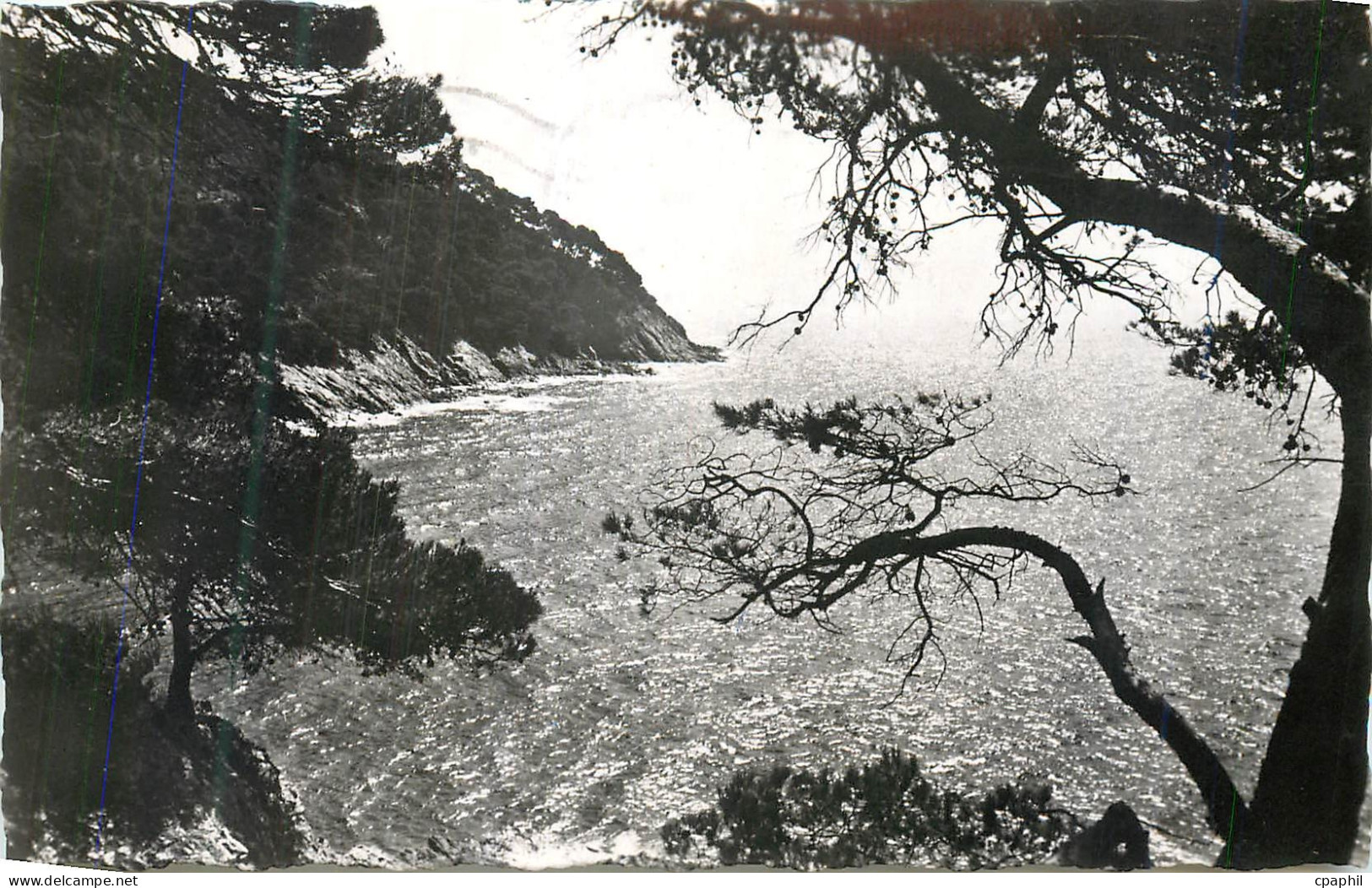 CPM Cavalaire-Sur-Mer (Var) Pointe de la Vigie