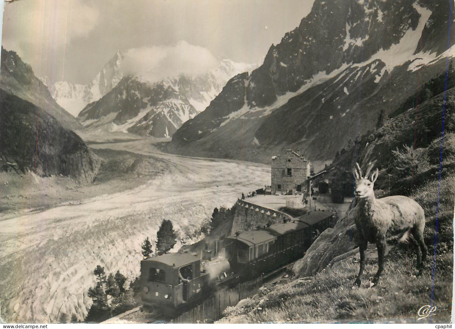 CPM Chamonix Mont Blanc La Mer de Glace Train Chamois