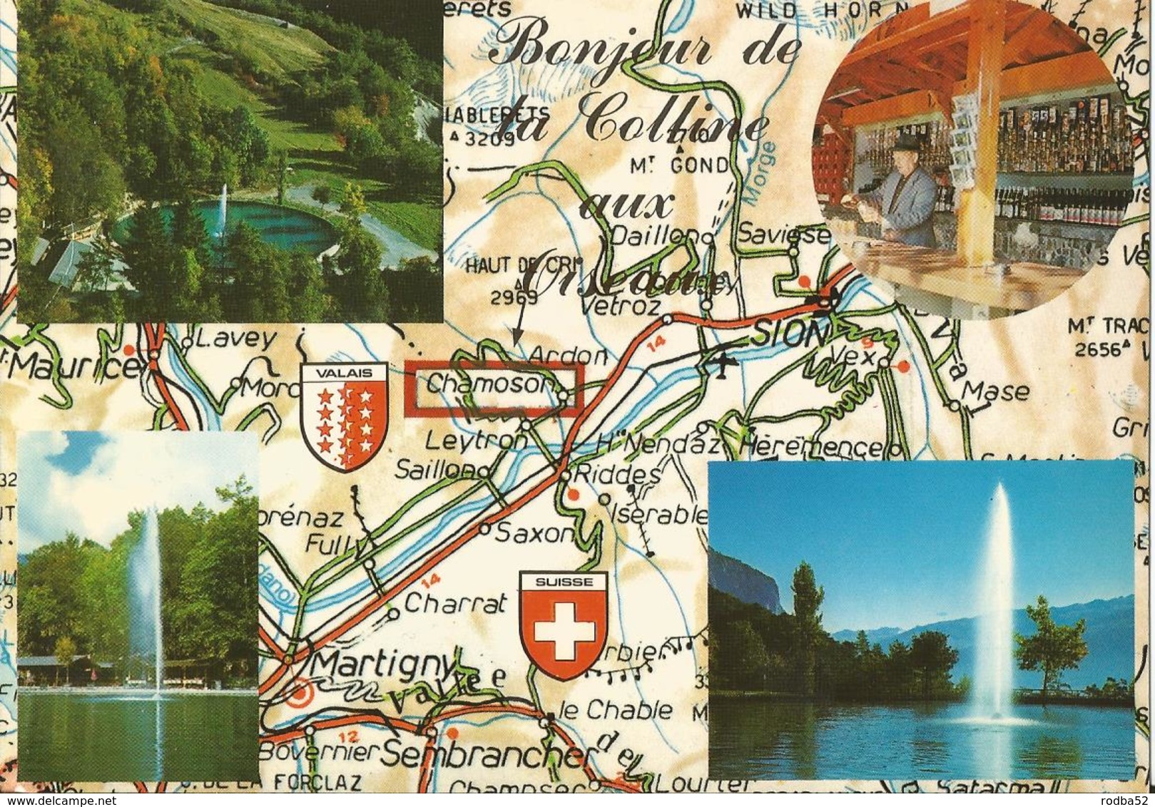 CPM - Chamoson - Un Bonjour de la colline aux Oiseaux --  Restaurant