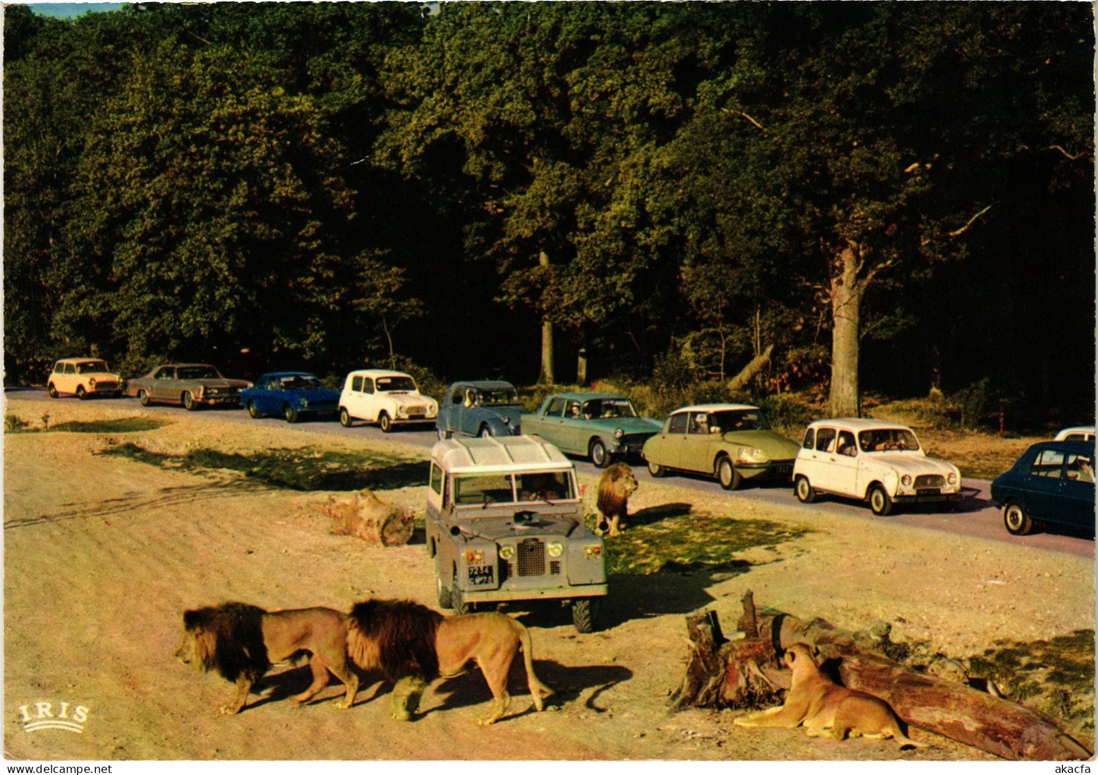 CPM Chateau de Thoiry Lions en liberte FRANCE (1452473)