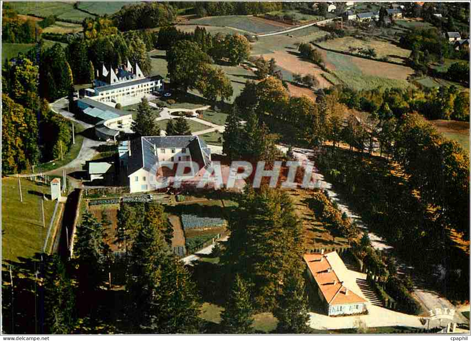 CPM Chateauneuf la Foret Haute Vienne Bellegarde les fleurs