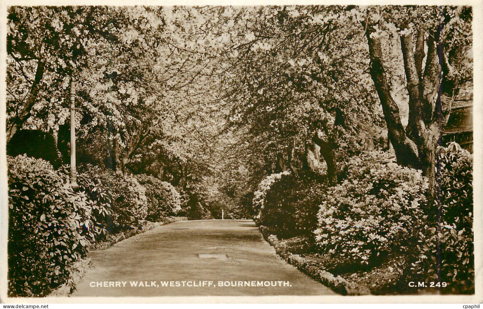 CPM Cherry Walk Westcliff Bournemouth