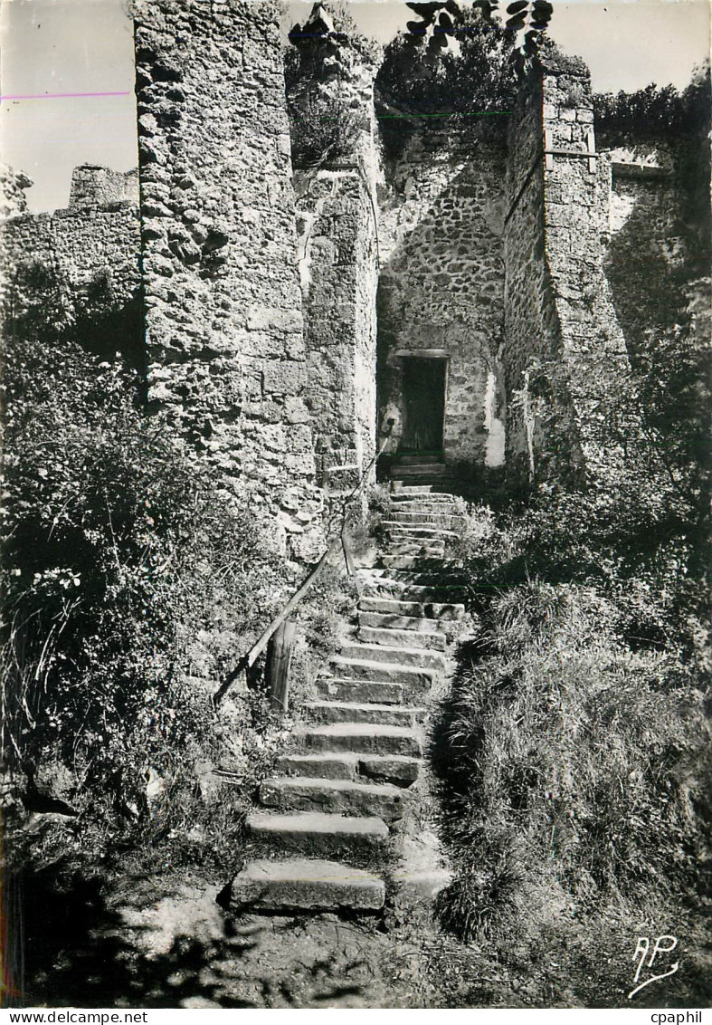 CPM Chevreuse la Madeleine Escalier du Chemin des Remparts