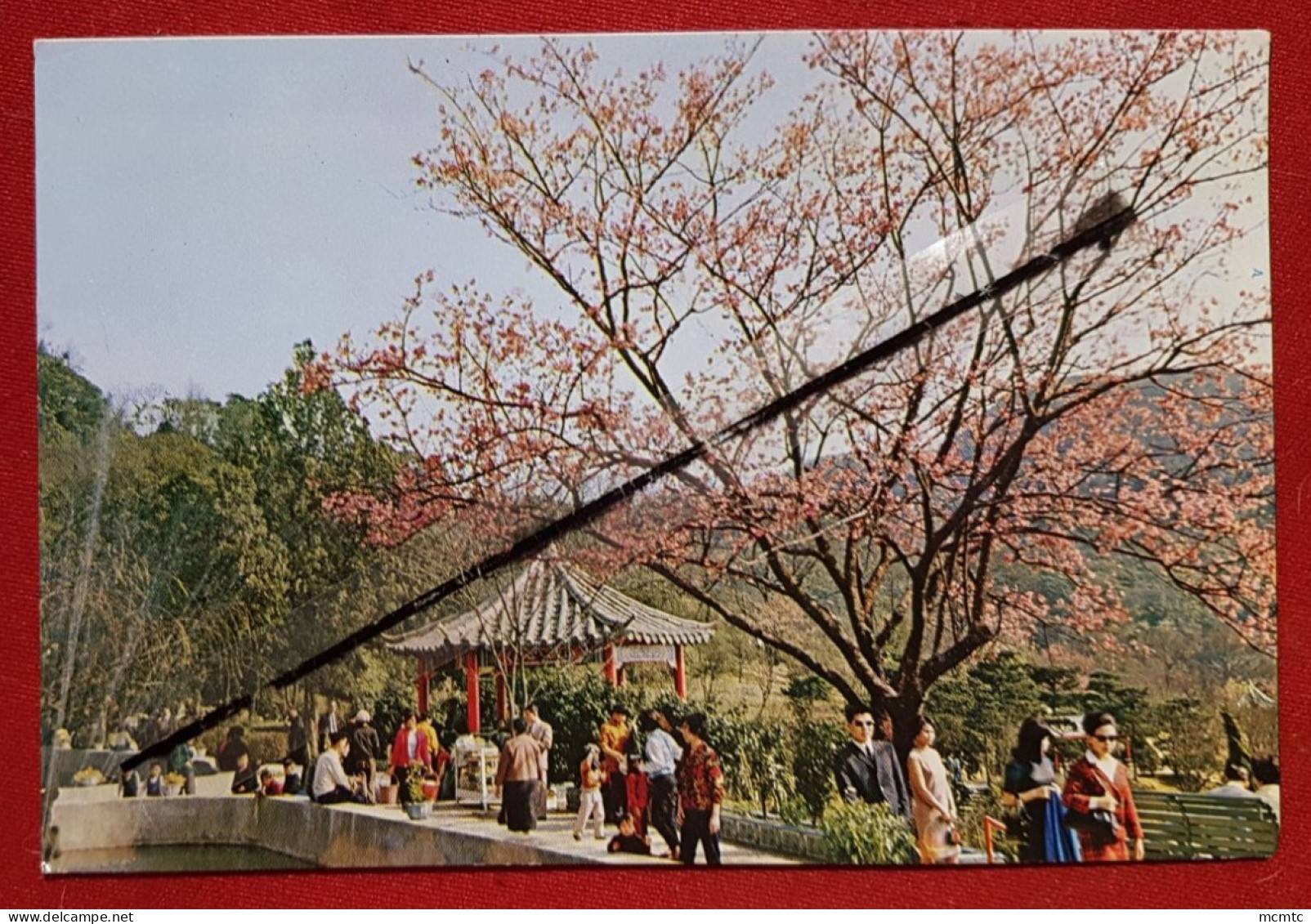 CPM - Chine à confirmer - Welcome to Taipï (Formose)