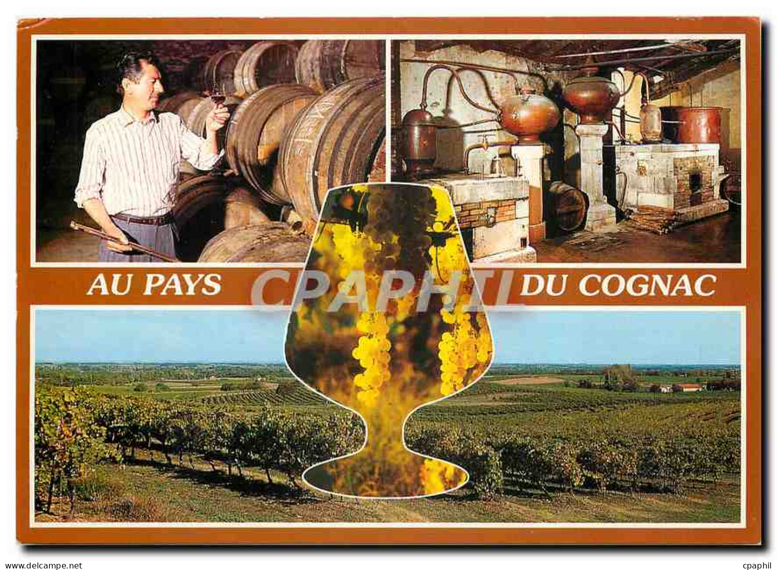 CPM Cognac (Charente) Maitre de Chat et distillerie de Cognac le Vignoble Charentais
