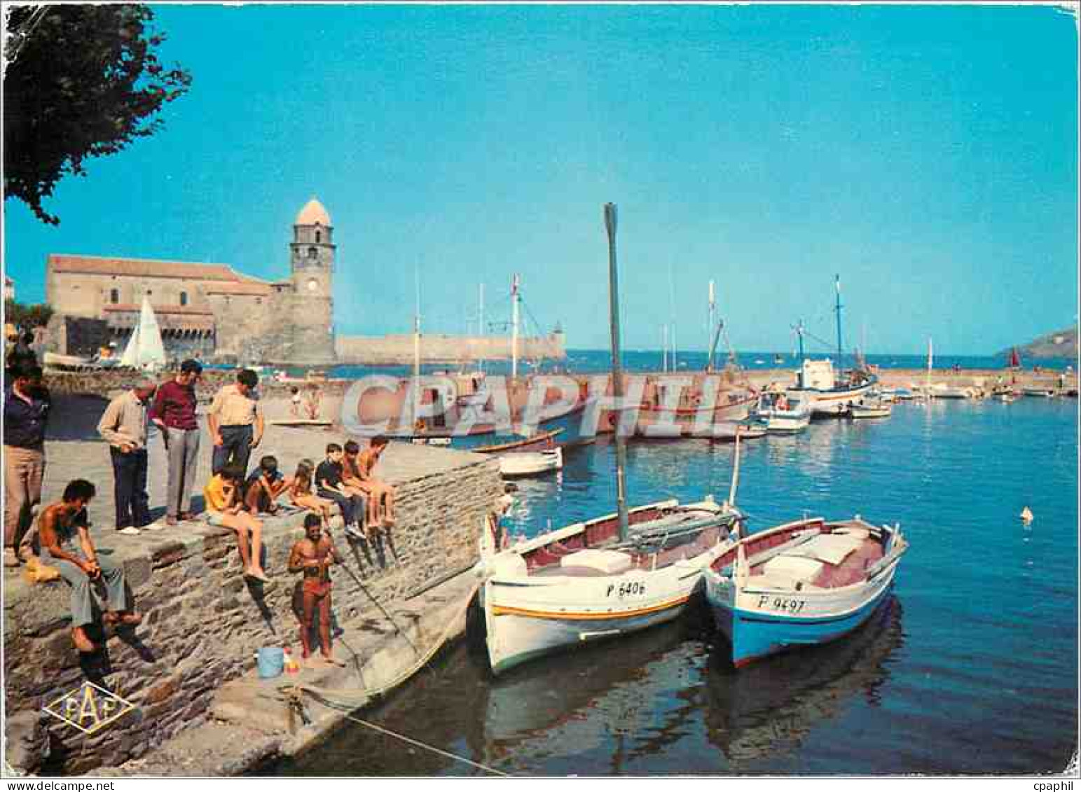 CPM Collioure Le Port L'Eglise