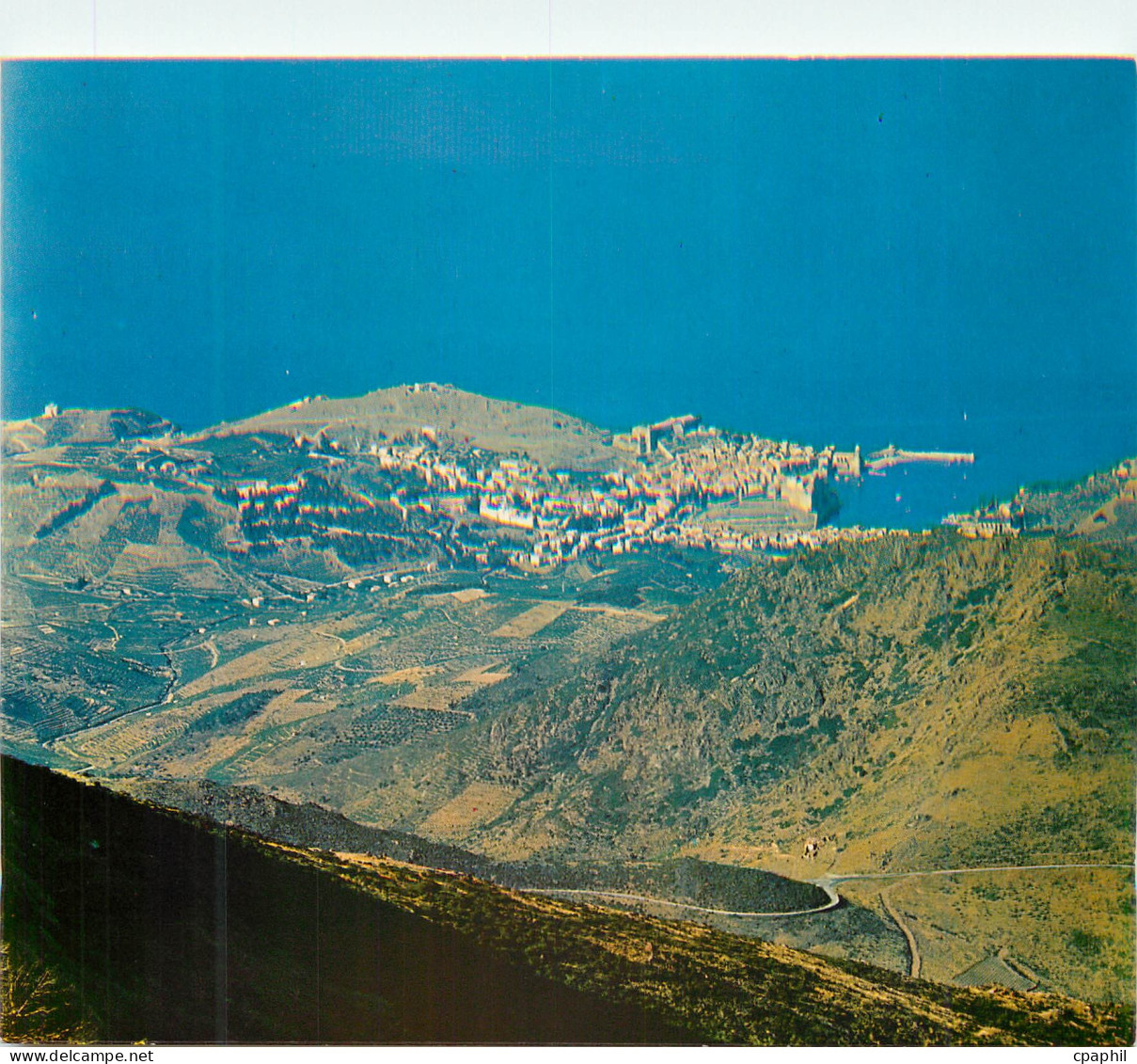 CPM Collioure (P O) vue Panoramique