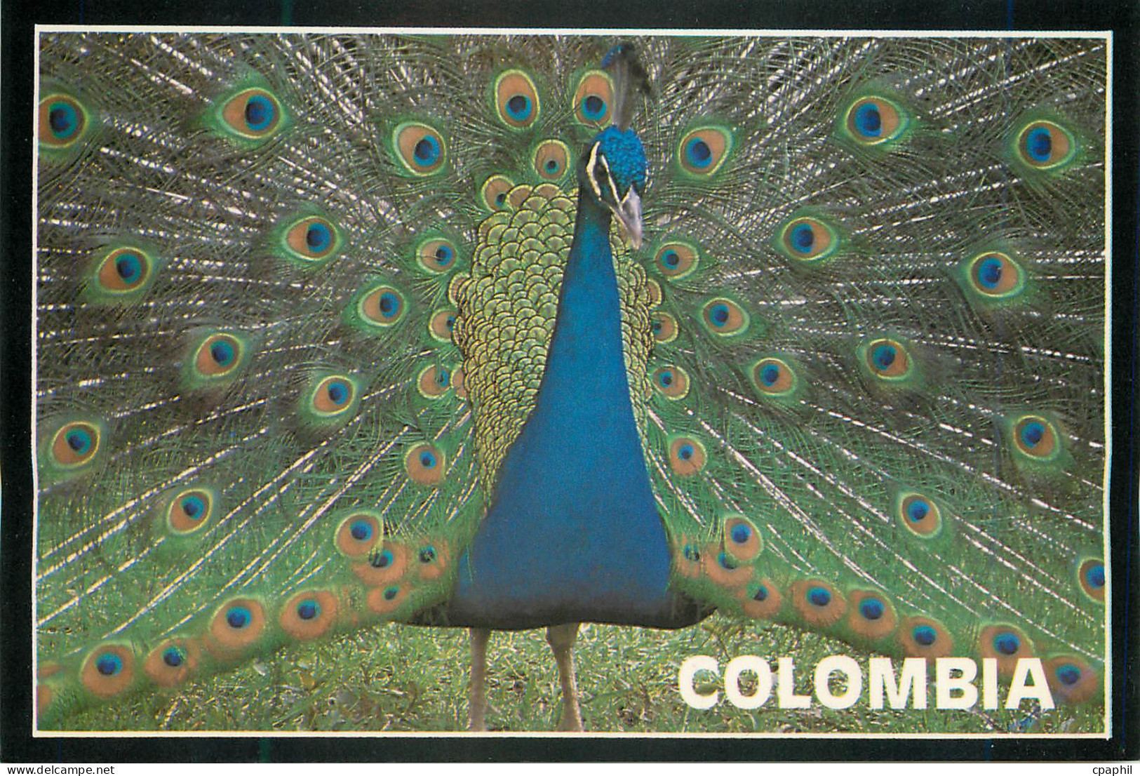 CPM Colombia Pavo Real