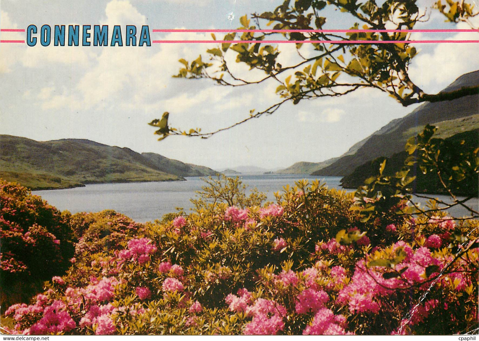CPM Connemara Co Galway