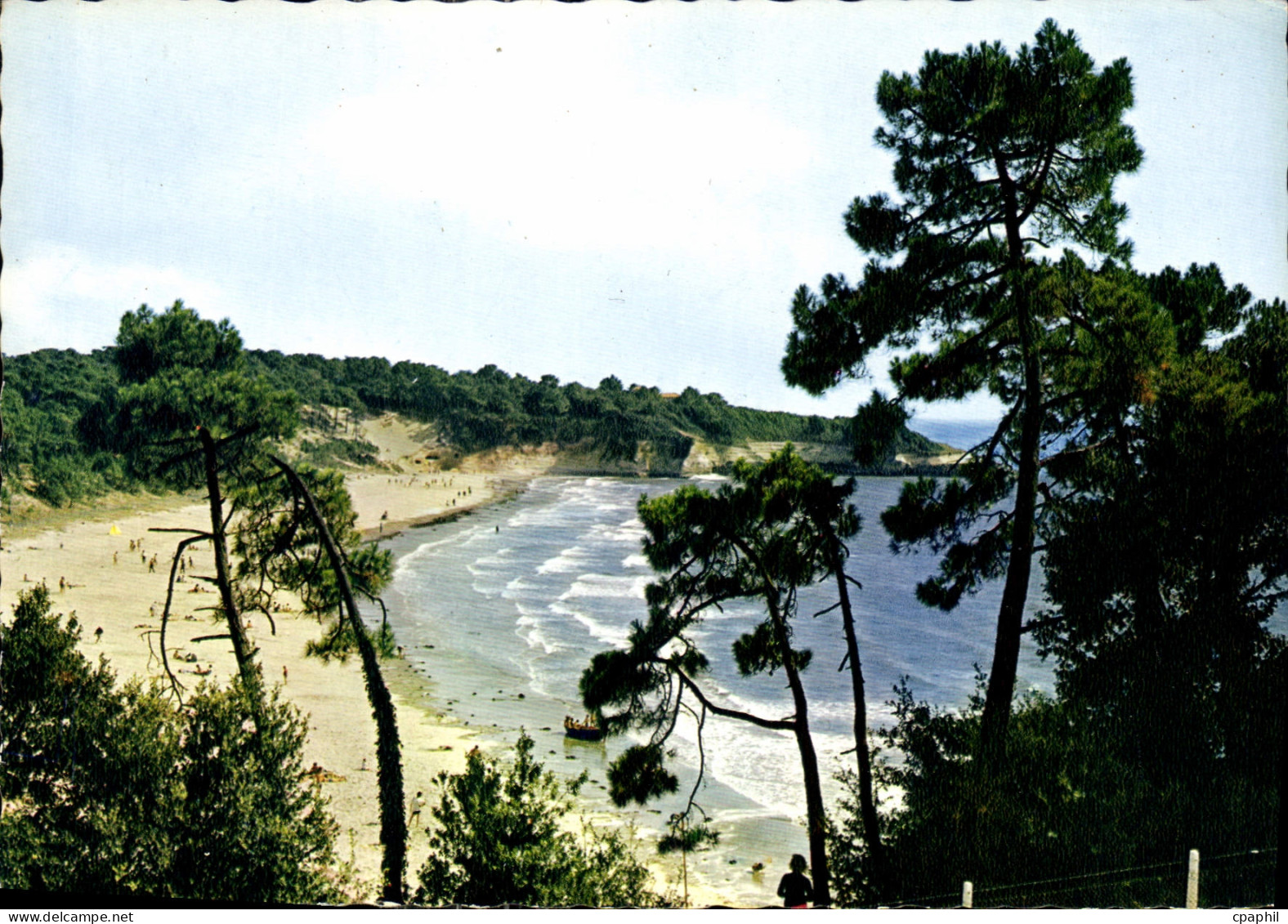 CPM Corniche De Saint Georges de Didonne A Meschers Plage de Suzac