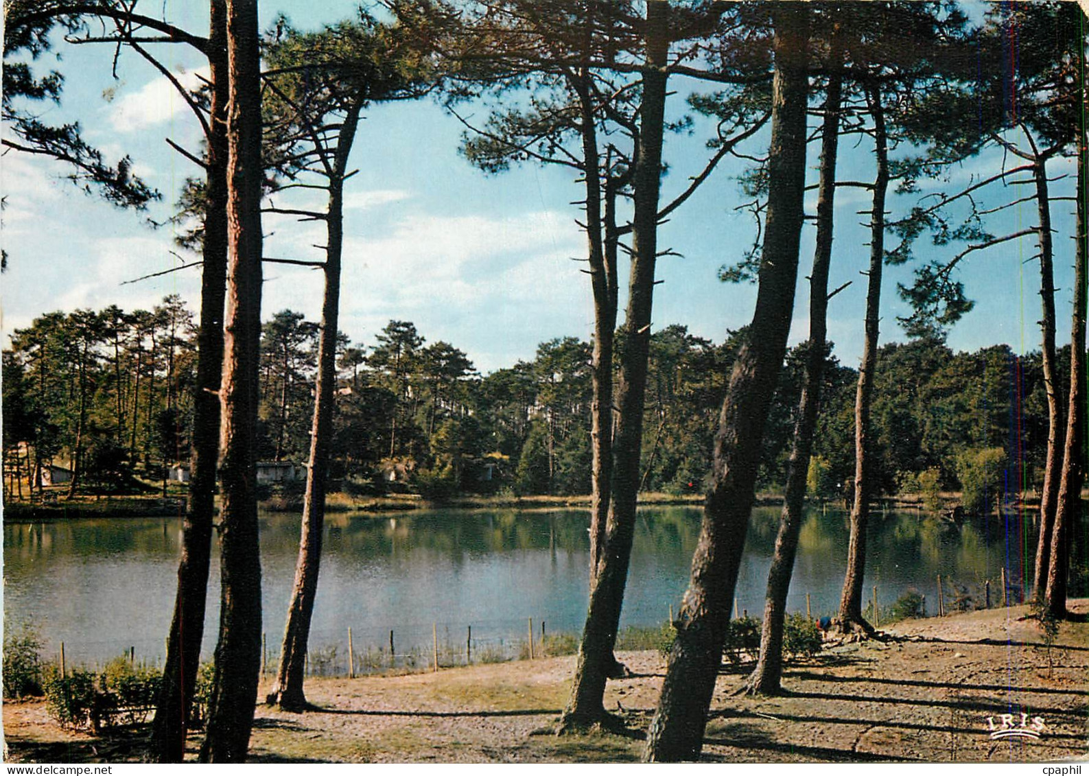 CPM Cote Basque Anglet Lac de Chiberta