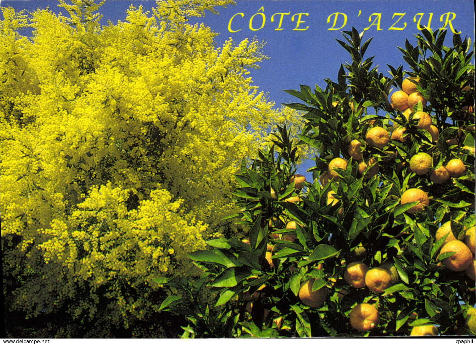 CPM Cote d'Azur