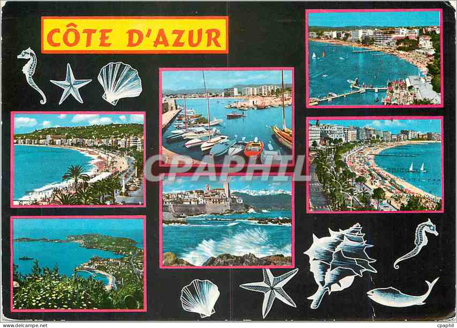 CPM Cote d'Azur
