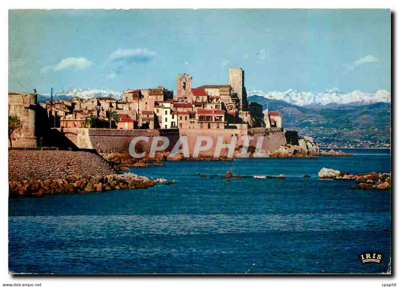 CPM Cote d'Azur Antibes Les Remparts et les Alpes