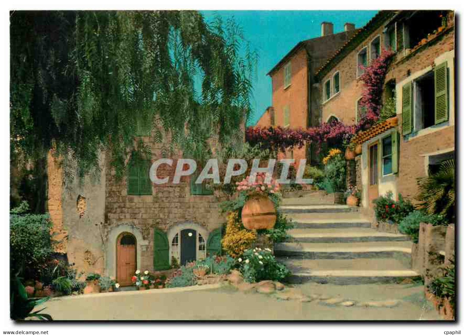 CPM Cote d'Azur Bormes Les Mimosas Lou Pouli Cantoum