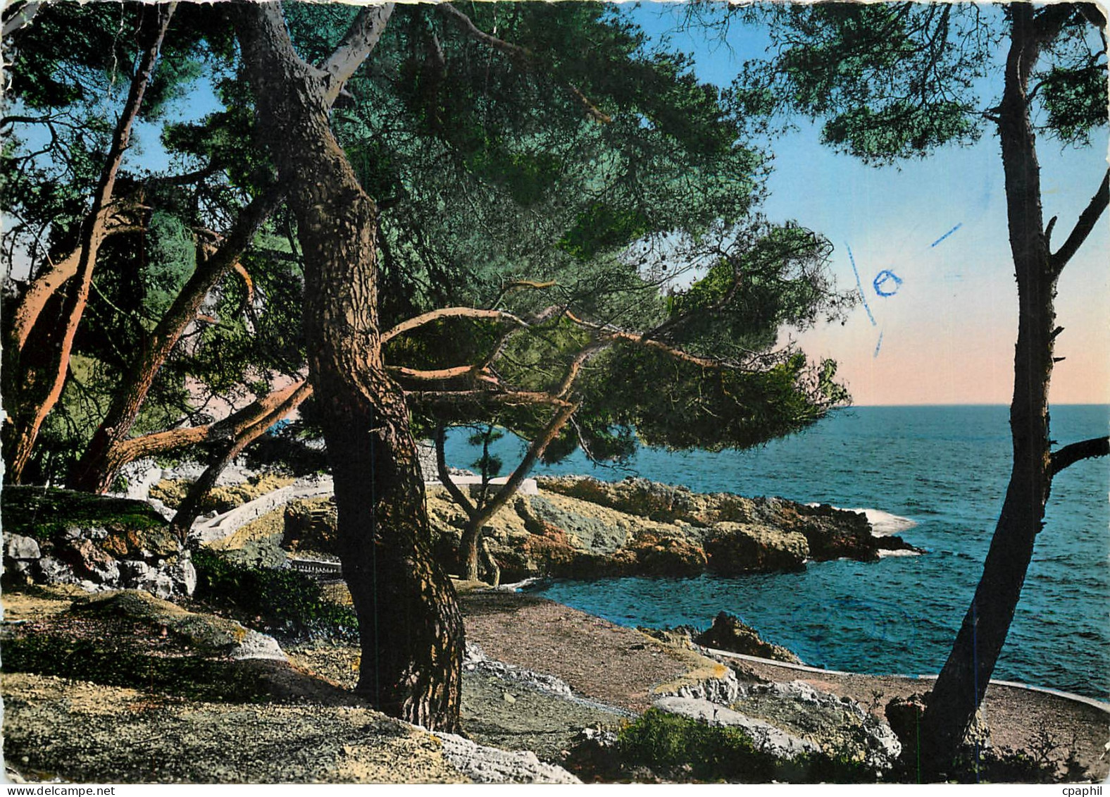 CPM Cote d'Azur Cap d'Ail Le bord de mer et la pinede