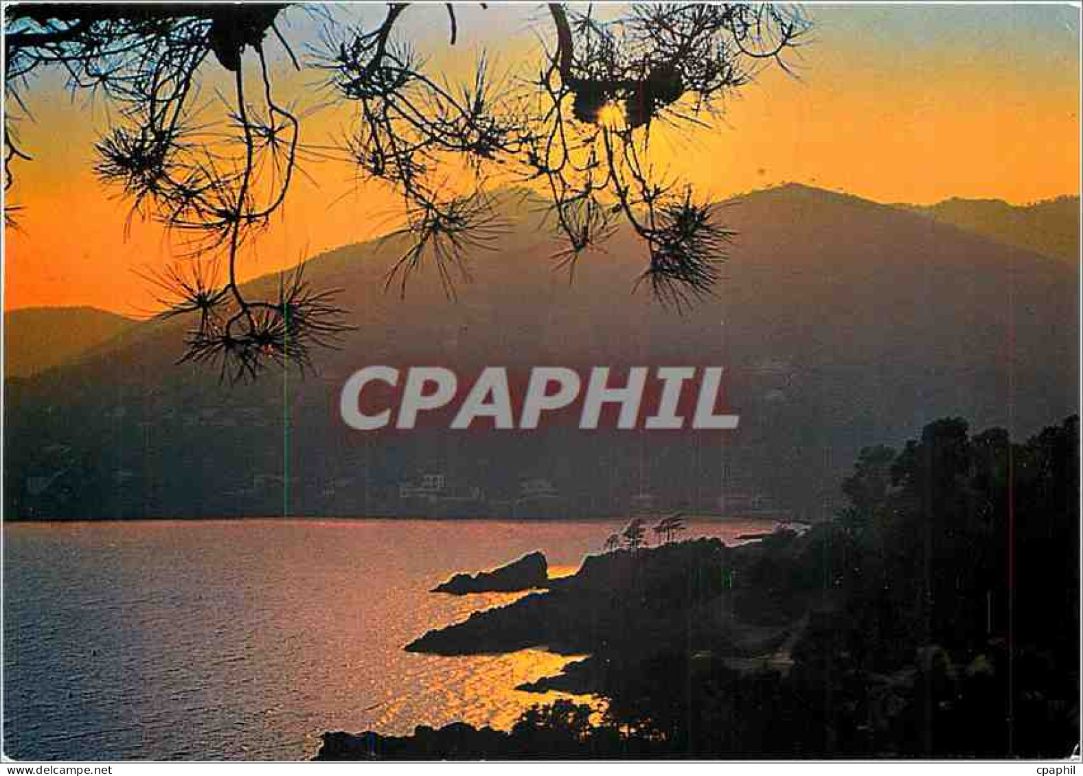 CPM Cote d'Azur Coucher de soleil