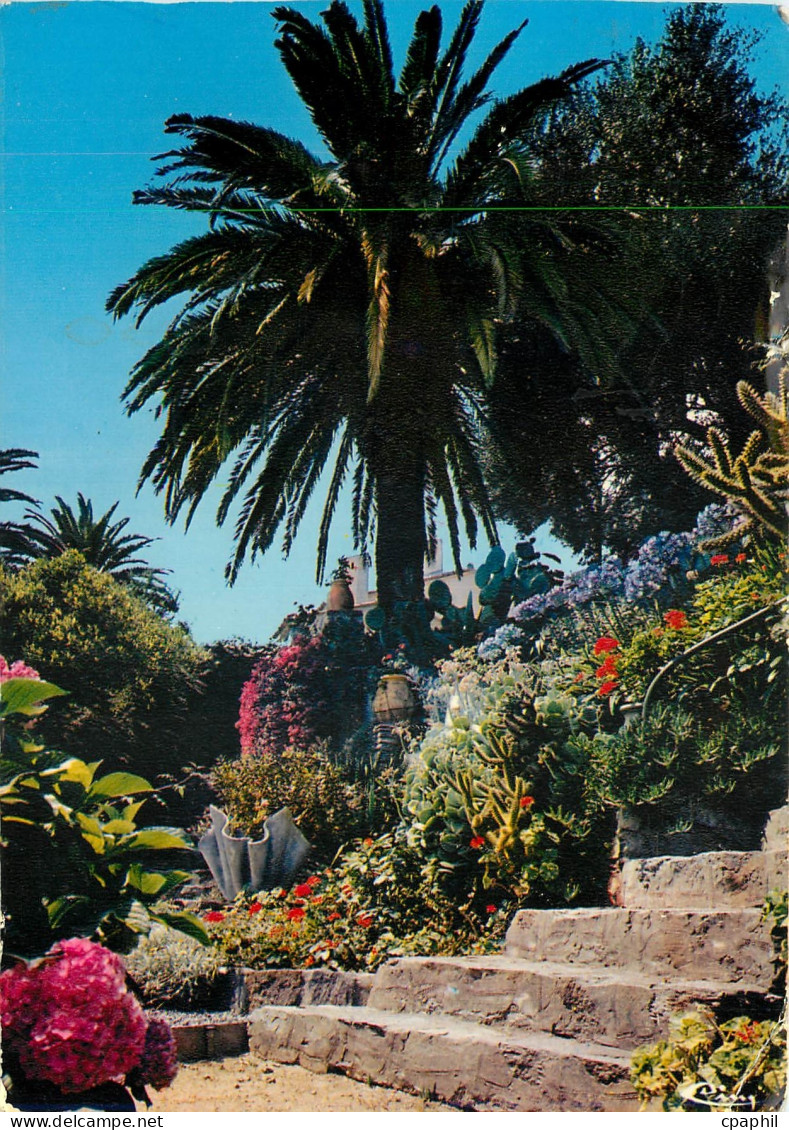 CPM Cote d'Azur Escalier Fleuri