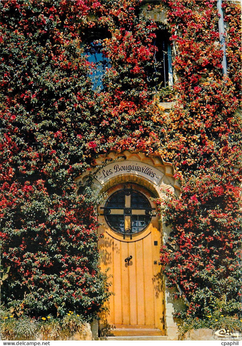 CPM Cote d'Azur France Bormes les Mimosas