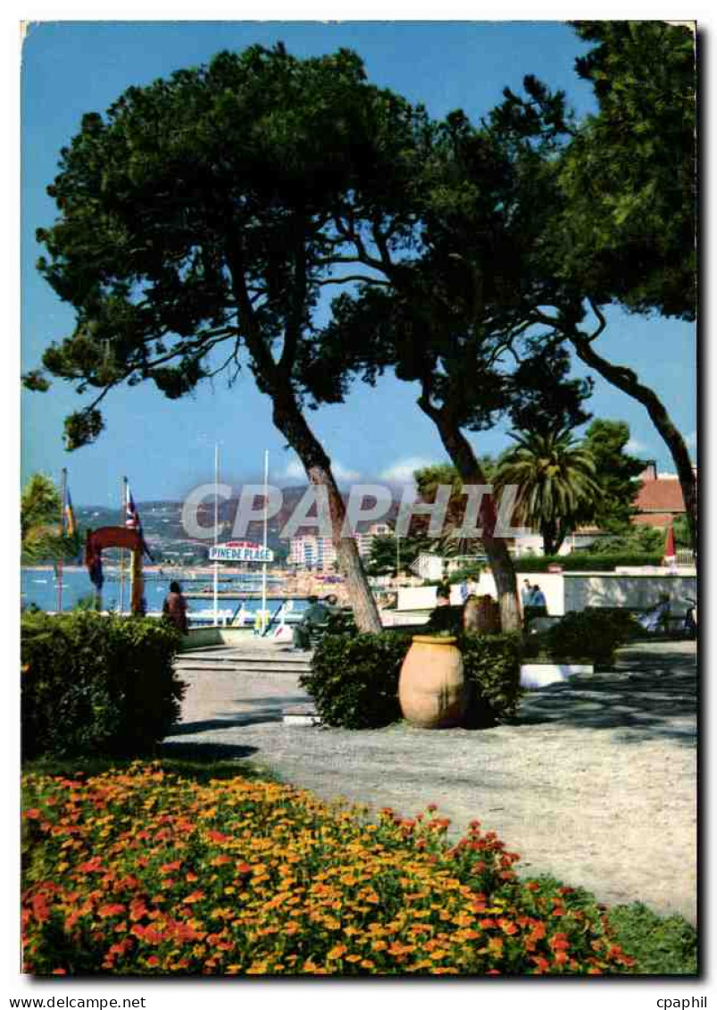 CPM Cote d'Azur Juan les Pins et sa Pinede Fleurie