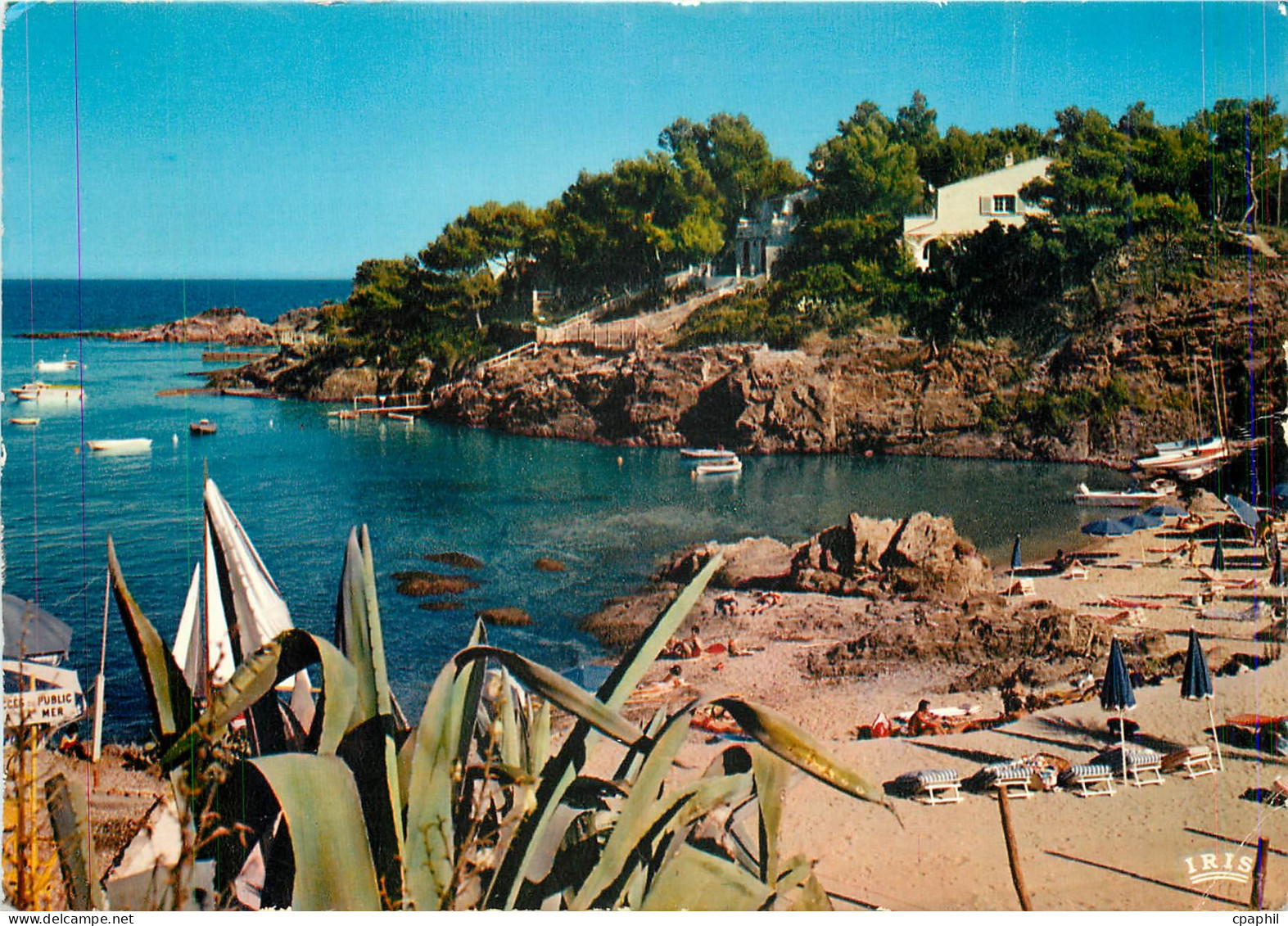 CPM Cote d'Azur Les Issambres (Var) Une Clanque
