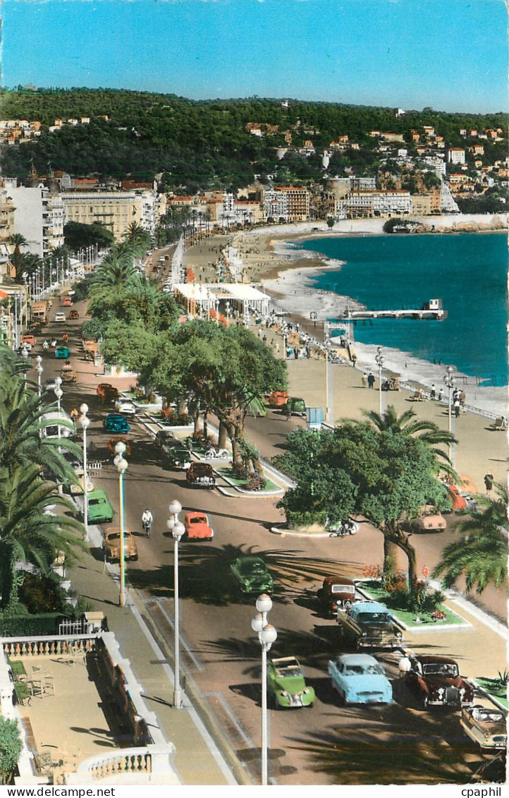 CPM Cote d'Azur Nice La Promenade des Anglais Au fond le Mont Boron