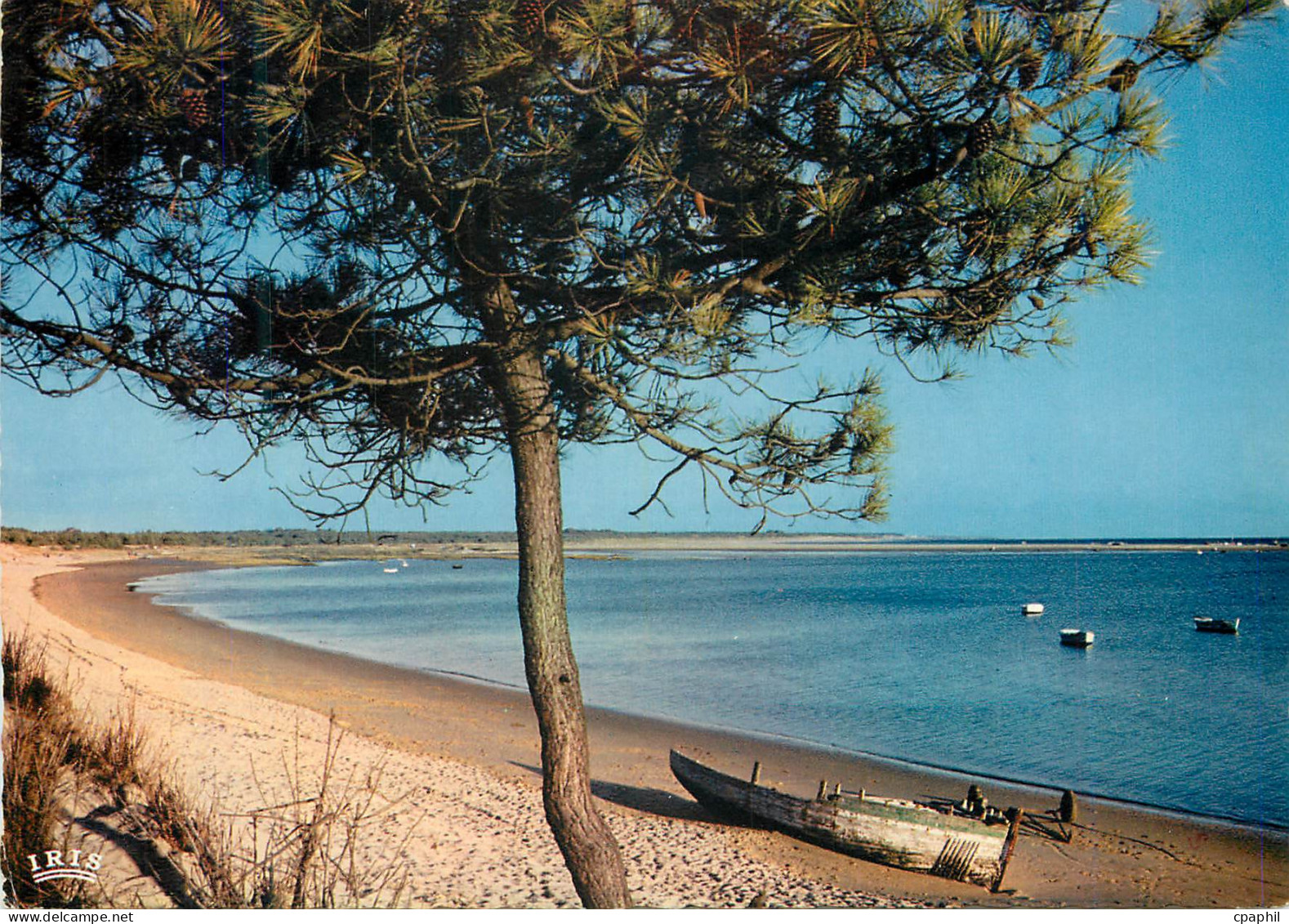 CPM Cote de Beaute Plage de la Palmyre Bonne Anse